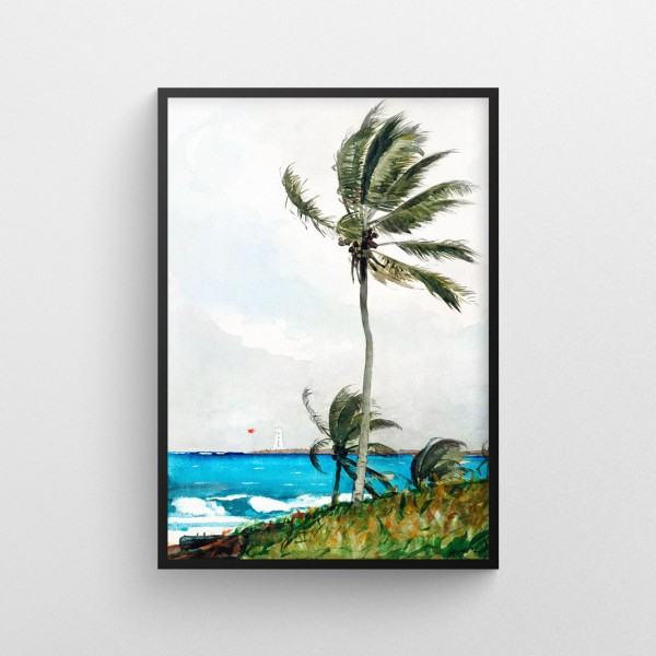 Plakat WINSLOW HOMER - Palm Tree, Nassau